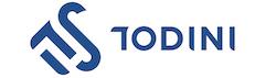 Todini